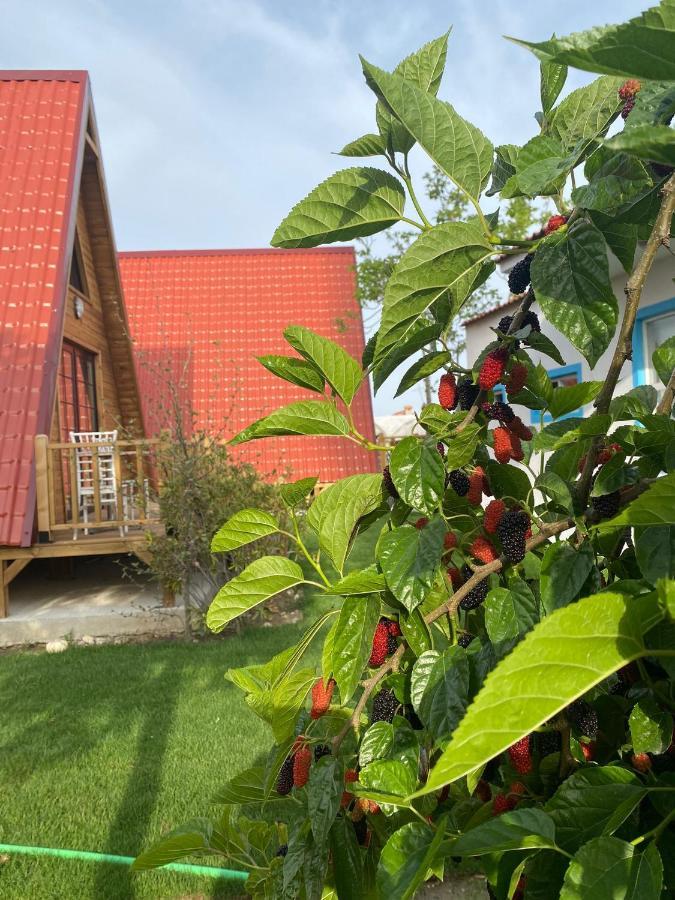 Noel Bungalov & Cafe Демре Екстер'єр фото